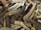 Elk Antler Dog Chews     Split Or Whole   C-grade Rustic   S m l   Natural Shed 3p