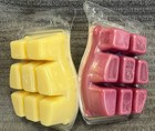 Scentsy Set Of 2 Cinnamon Vanilla And Autumn Sunset Bar Wax Melts 3 2oz Retired