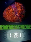 Yooperlite Stone Super Bright Fluorescent Sodalite Lake Superior   Yooperlite 