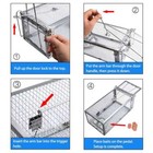 1-4x Live Humane Cage Trap For Squirrel Chipmunk Rat Mice Rodent Animal Catcher