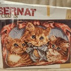 Bernat Latch Hook Rug Kit  kittens  Size 24  X 34  Complete Kit New - Ugly Box