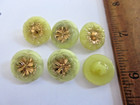 6 Magnificent Czech Vintage Style Glass Buttons   Yellow With  Gold Accents   