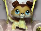 Authentic Rare Littlest Pet Shop Sage  58  paw Up  Brown Collie Dog Blue Eyes
