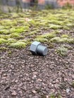 Geocaching Hideout   Screw With Secret Compartment   Magnet   2 Pack   Nano Cache  