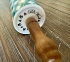 Pioneer Woman Ceramic Charming Check Teal Rolling Pin Acacia Wood Handles