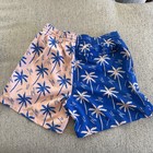 Mens Chubbies The Weekend Kings 5 5  Swim Trunks M Blue Pink Palm Mesh Lined