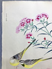 Fukuda Suiko Woodblock Print    fringed Pinks And Grey Wagtails    Kyoto Unsodo