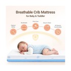 Mamazing Baby Crib And Toddler Mattress  2-stage Breathable Mattress  Non-tox   
