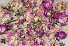 Dried Pink Rose Petals  Buds    Heads For Tea  Craft Soap  Candle Making    More