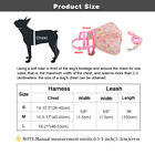 Pink Dog Dress Harness Leash Set Mesh Puppy Vest Skirt With Cute Flower Pattern