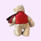 Vintage Christmas Teddy Bear Plush Stuffed Animal Camper Charlie 1988 