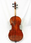 New Andreas Eastman Vc305 Cello-7 8 Size  bag  Bow rosin   Free Shipping 