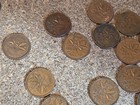 Lot Of 281 Canadain Copper Pre-1997 Pennies  