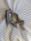 Lot Of 4 Vintage Miniature  Pewter Bunny Rabbit Figurines