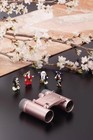 Vixen 16481-3 Binoculars Saqras H6x16 Sakura Pink New 