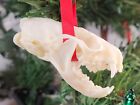Real American Mink Skull Christmas Ornament - Neogale Vison - American Sourced
