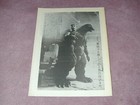 G-force  8  g-fan   8   Original Magazine fanzine  Godzilla Japanese Monsters