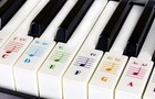 Color Piano Stickers For 49 61  76 88 Key Keyboards     Transparent And Removable