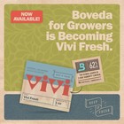 Boveda 58  Humidity Pack Size 4  10 Pack