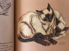 Cat  hiram And Other Cats Illustrated By Gladys Cook 