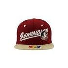 Fsu Seminoles Ncaa Youth Adjustable Hat Z11 Yonker - Officially Licensed