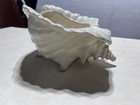 Vintage Conchwhite Ceramic Conch Shell Planter Footed Coastal Decor 8 5 Inches 