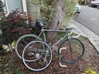 55 Cm Bianchi Pista Chrome- Great Condition