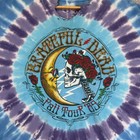 Vintage Grateful Dead Liquid Blue Tie-dye T-shirt Men s Xl Skull Fall Tour  89