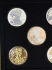 2007 Ultimate 5 Silver Eagle Dollar Collection Hologram Gold Plate Colorized Set