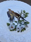 Alfred Meakin Birds Of America Collector Plate  17 Carolina Turtle Dove England