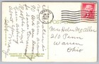 Vintage Postcard 1957 Colorful Tropical Flowers Florida Cypress Gardens