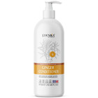 Edenika Ginger Shampoo   Conditioner Set - Strengthening  Hydrating  16oz