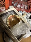 Vintage Denture Gold Tooth Crown Oddity Medical Display