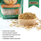 Bulk Dried Mealworms For Wild Birds Food Chickens Hen Fish Turtle Treats Non-gmo