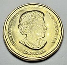 2020 Canadian 75th Anniversary Un Charter Colorized Loonie  1 Dollar Coin 