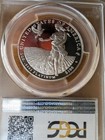 2011-w  100 American Eagle 1 Oz Platinum Proof Preamble Series Coin