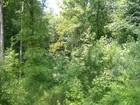 Vacant Land In Beautiful Residential Area
