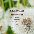 Mrs  Meyer s Clean Day Premium Scented Oil Refills  Dandelion  2 Refills