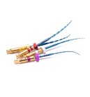 Dental Endodontic Endo X-two S File Rotary Niti Root Canal File For Motor 1 10pk