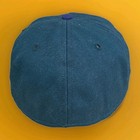 Autigraphed Greenville Bluesmen Hat Ken Krahenbuhl Catfish Trade