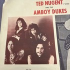 Rare 1973 Ted Nugent Amboy Dukes Lynyrd Skynyrd Flyer Concert Poster Vintage
