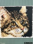 New Caron Natura  Tabby Kitty Cat Latch Hook Kit Size 12  X 12  Sealed Usa