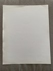 The 2 Live Crew Press Photo 8 5x11     Lil    Joe Records  See Description 