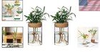 Nordic Design Propagation Vases - Breathable Glass For Stylish Indoor Greenery