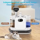 Omeser Steam Portable Carpet And Upholstery Cleaner Deep Couch Cleaner Machine