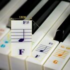 Color Piano Stickers For 49 61  76 88 Key Keyboards     Transparent And Removable