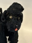 Vintage Steiff  snobby  Black Poodle Dog Mohair Stuffed Plush 9    No Tags