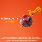Hanging Cricket Ball With 10-foot Cord For Batting Practice   Coordination
