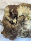 Mink Fur Muff Hand Warmer Vintage Real