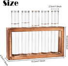 Desktop Glass Plant Propagation Station With 5 Test Tubes In Wooden Stand - Hydr